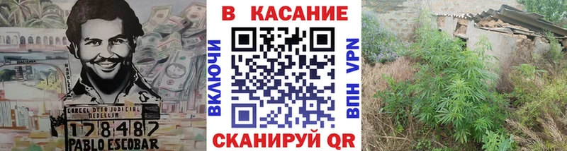 Наркота Суджа КОКАИН  ГАШИШ  гидра зеркало  Конопля 