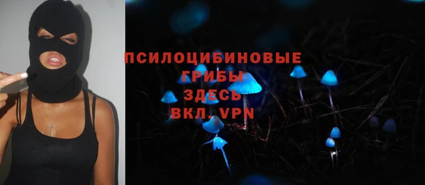 а пвп мука Алзамай