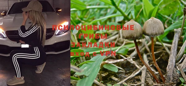 apvp Алексин