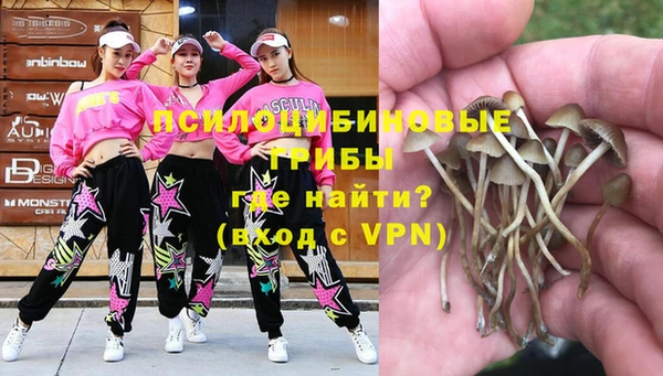 apvp Алексин